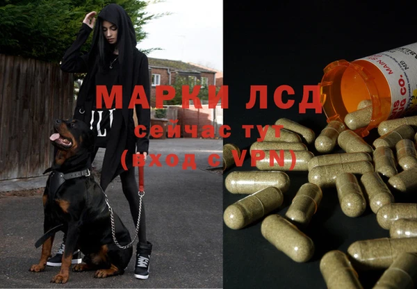 прущие крисы Богданович